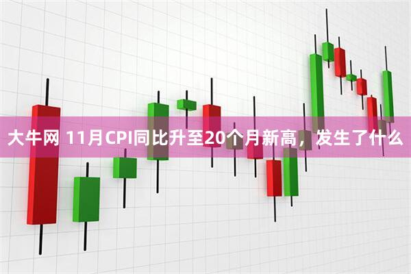 大牛网 11月CPI同比升至20个月新高,发生了什么